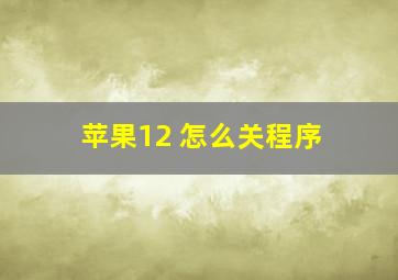 苹果12 怎么关程序